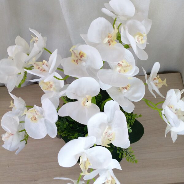 Arranjo de Orquídeas Brancas