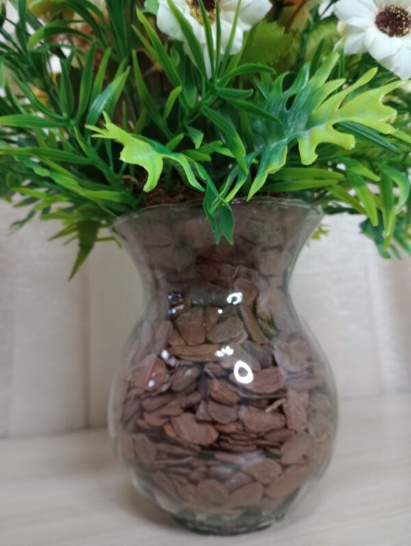 Vaso de vidro com plantas verdes e raízes visíveis, decorativo para ambientes internos.