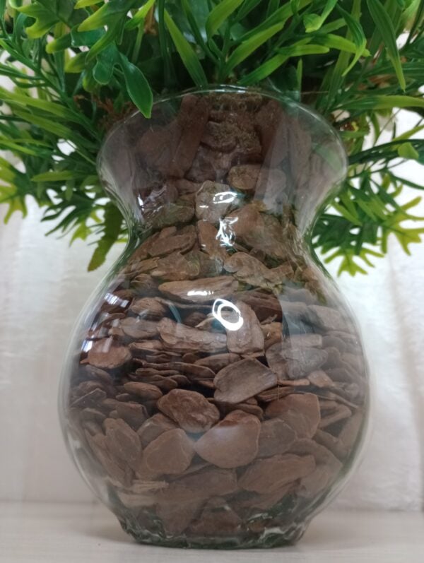 Vidro decorativo com pedras e planta verde no interior, decoração de ambientes internos.