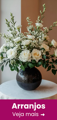 Rosal e folhagem em vaso preto, arranjo floral elegante e delicado.